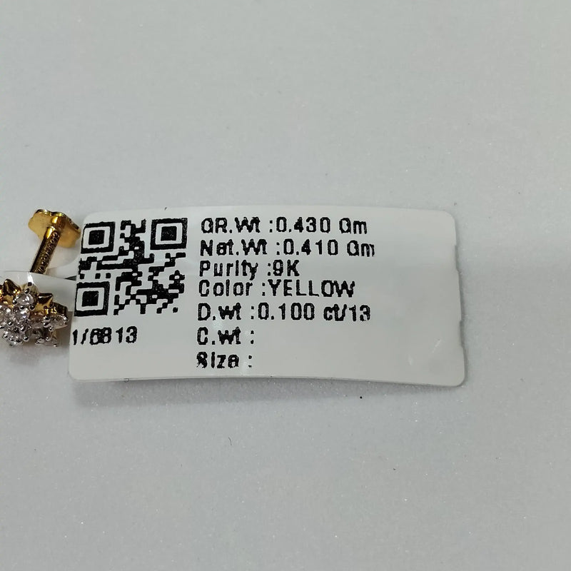 6813 Nosepin