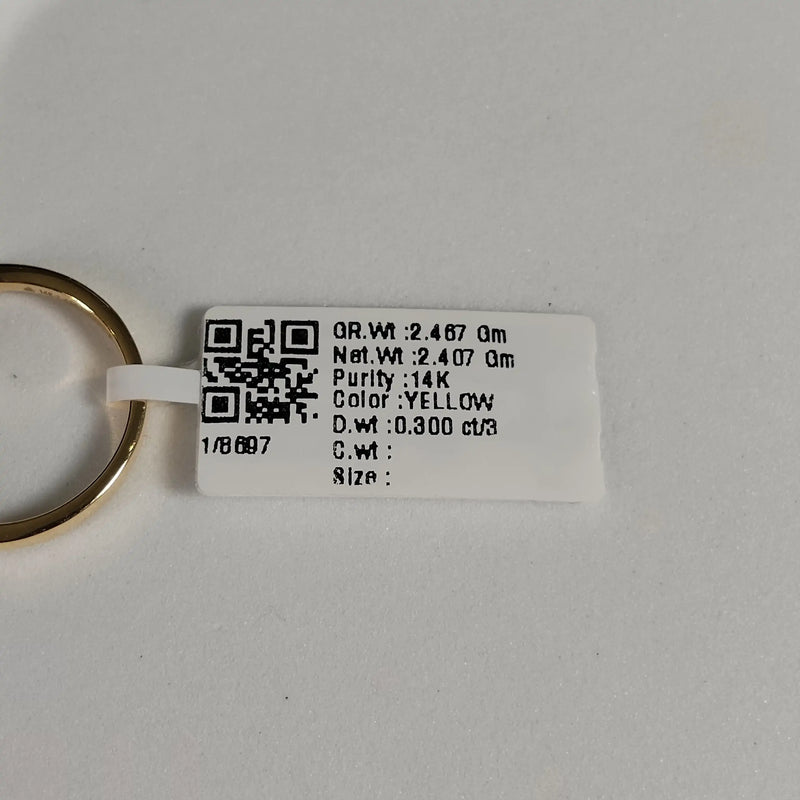 8697 Ring