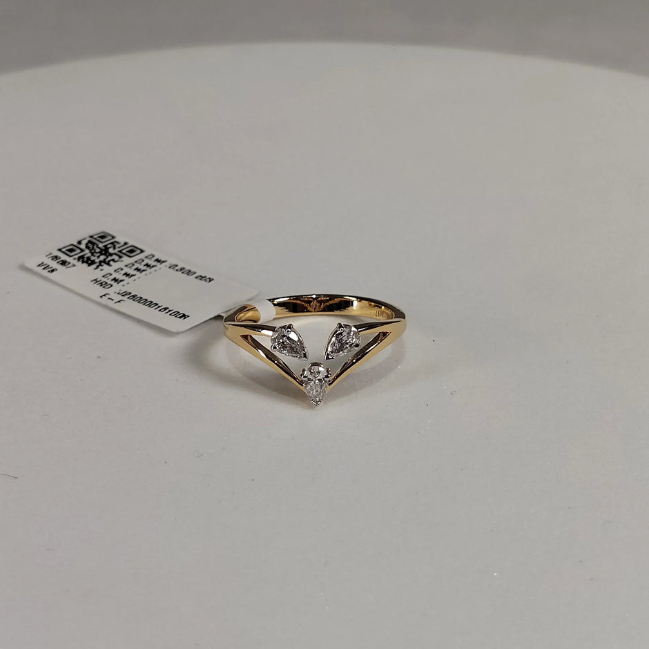 8697 Ring