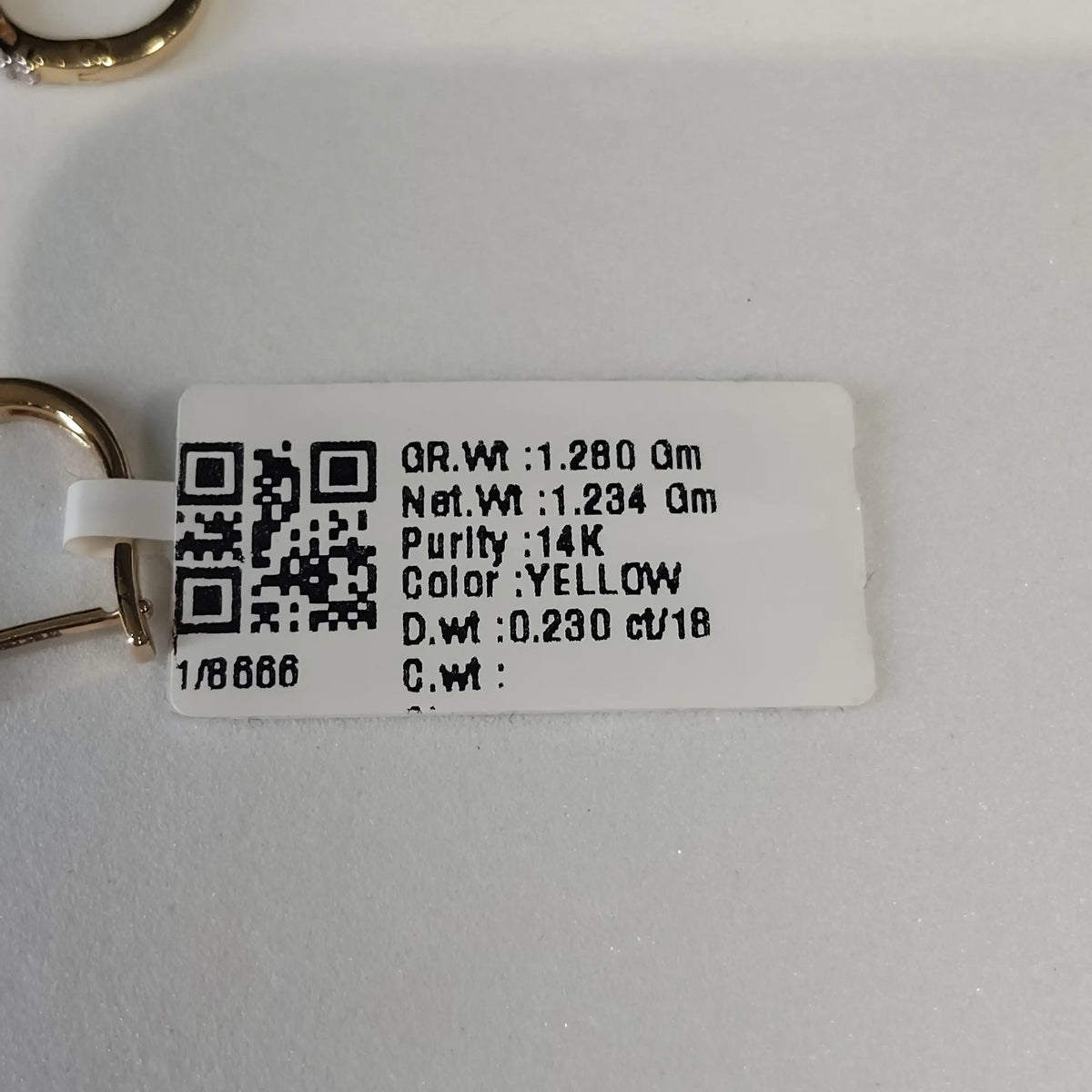 8666 Earring