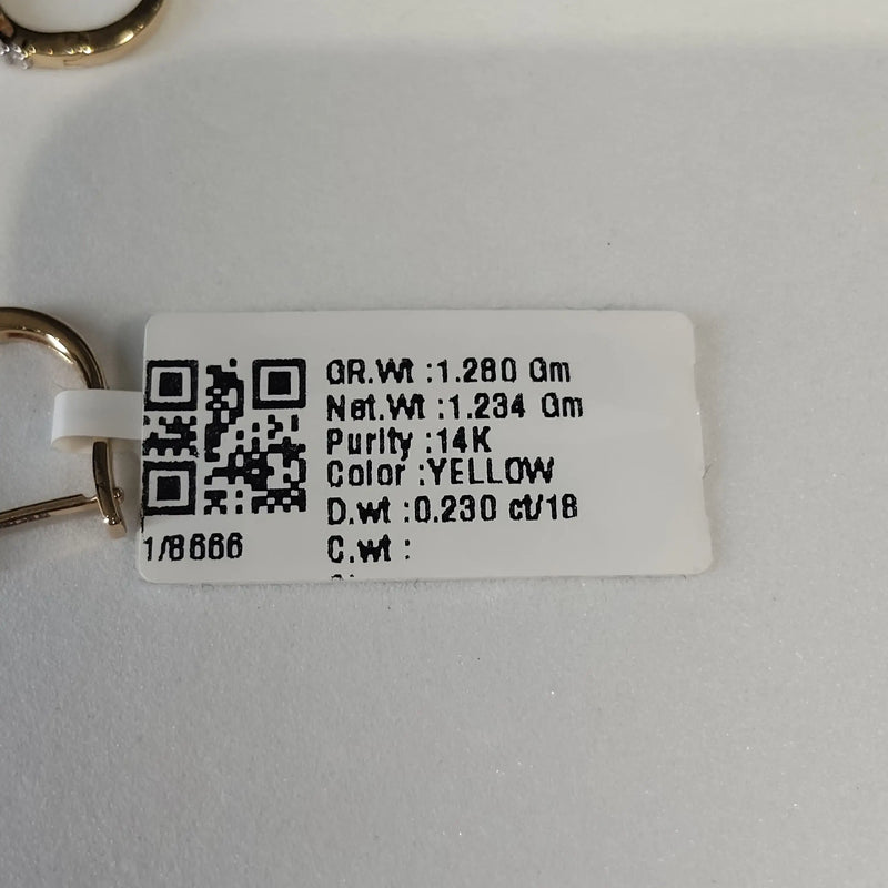 8666 Earring