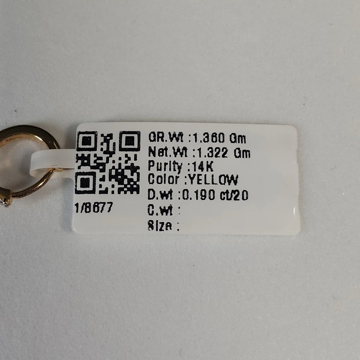 8677 Earring
