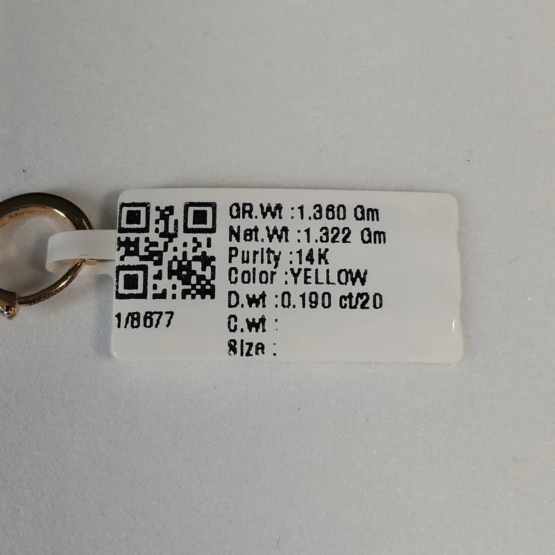 8677 Earring