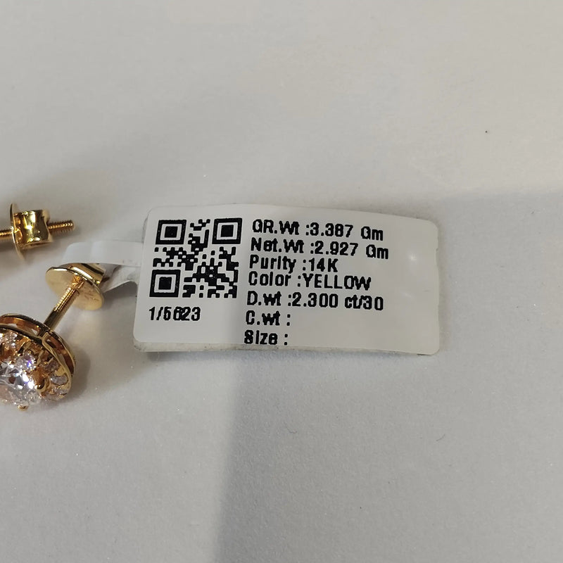 5623 Earring
