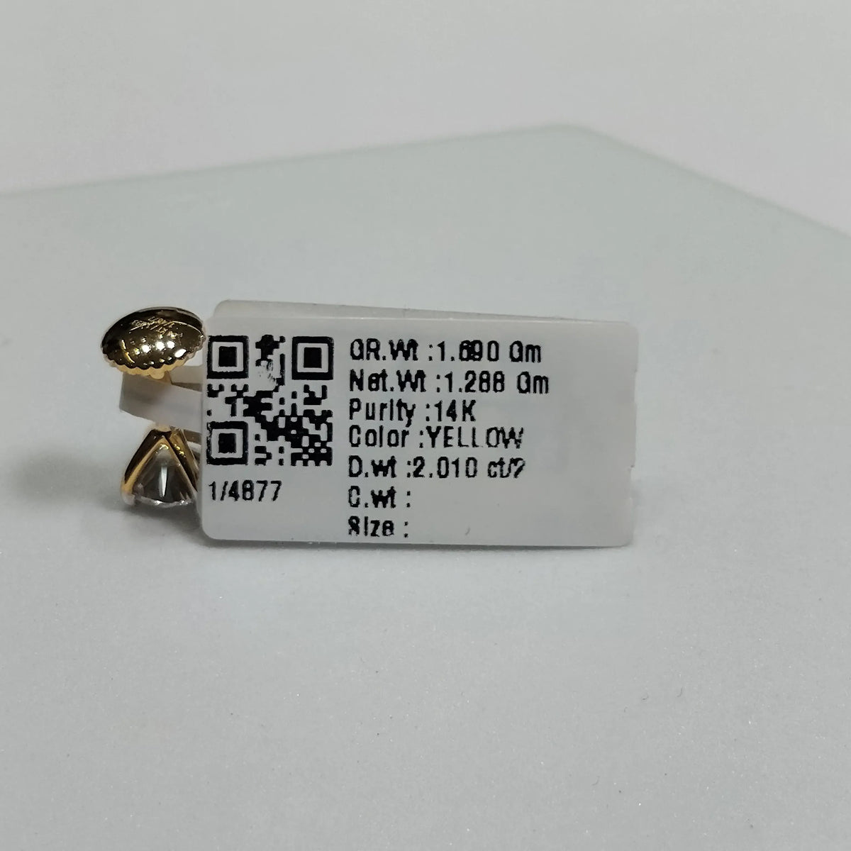 4877 Earring