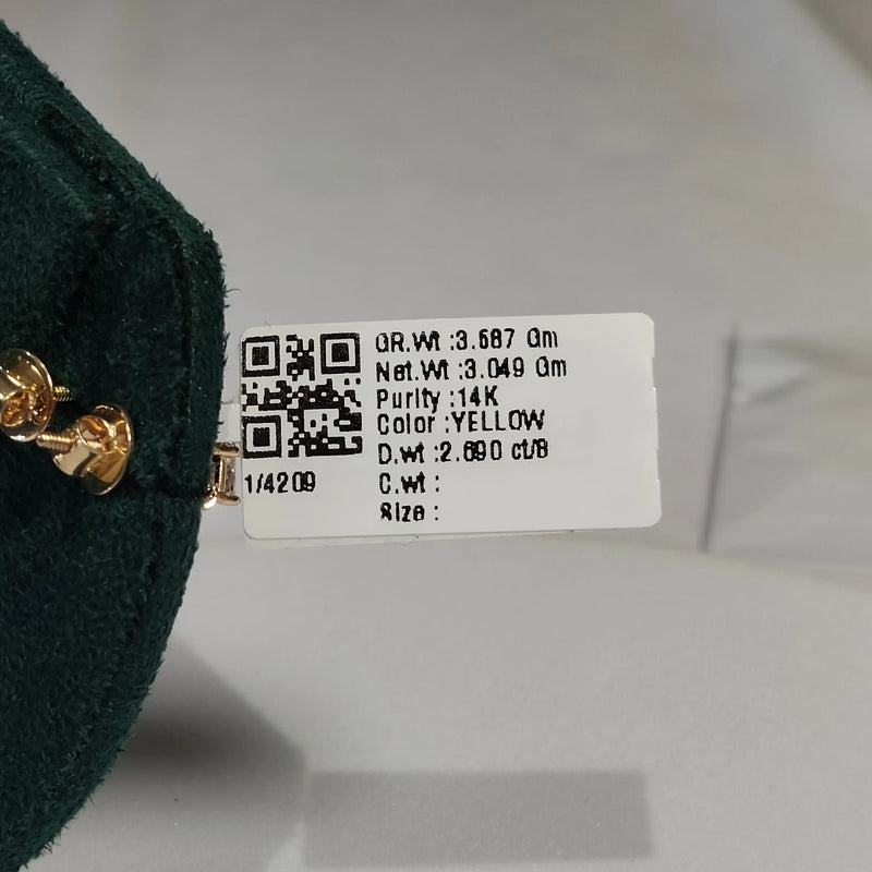 4209 Earring