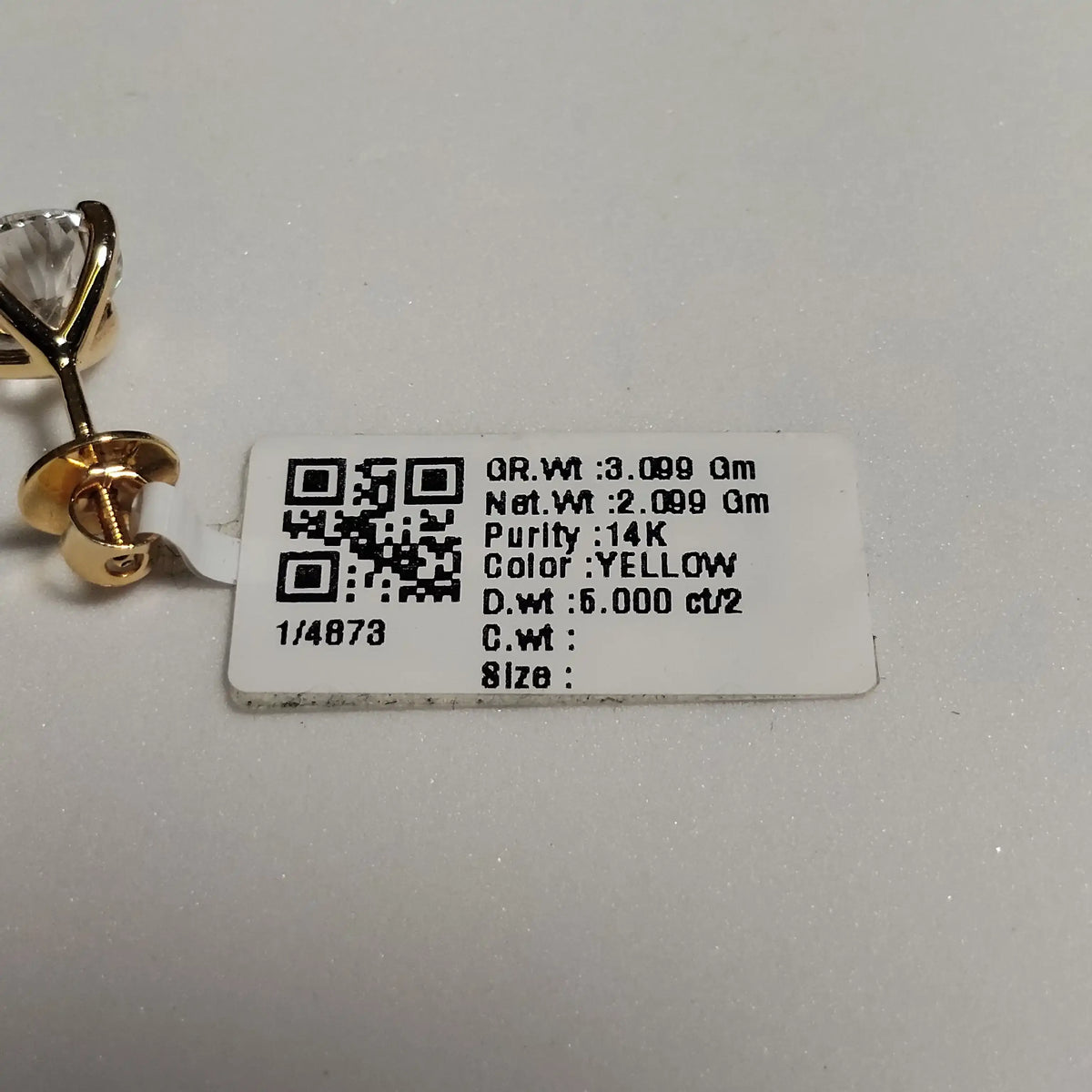 4873 Earring