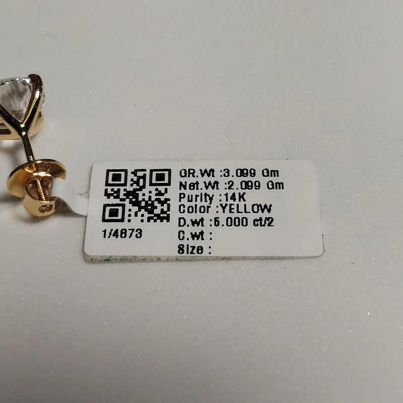 4873 Earring