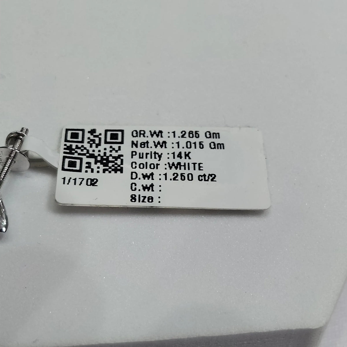 1702 Earring
