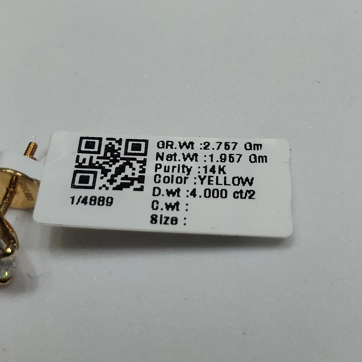 4889 Earring