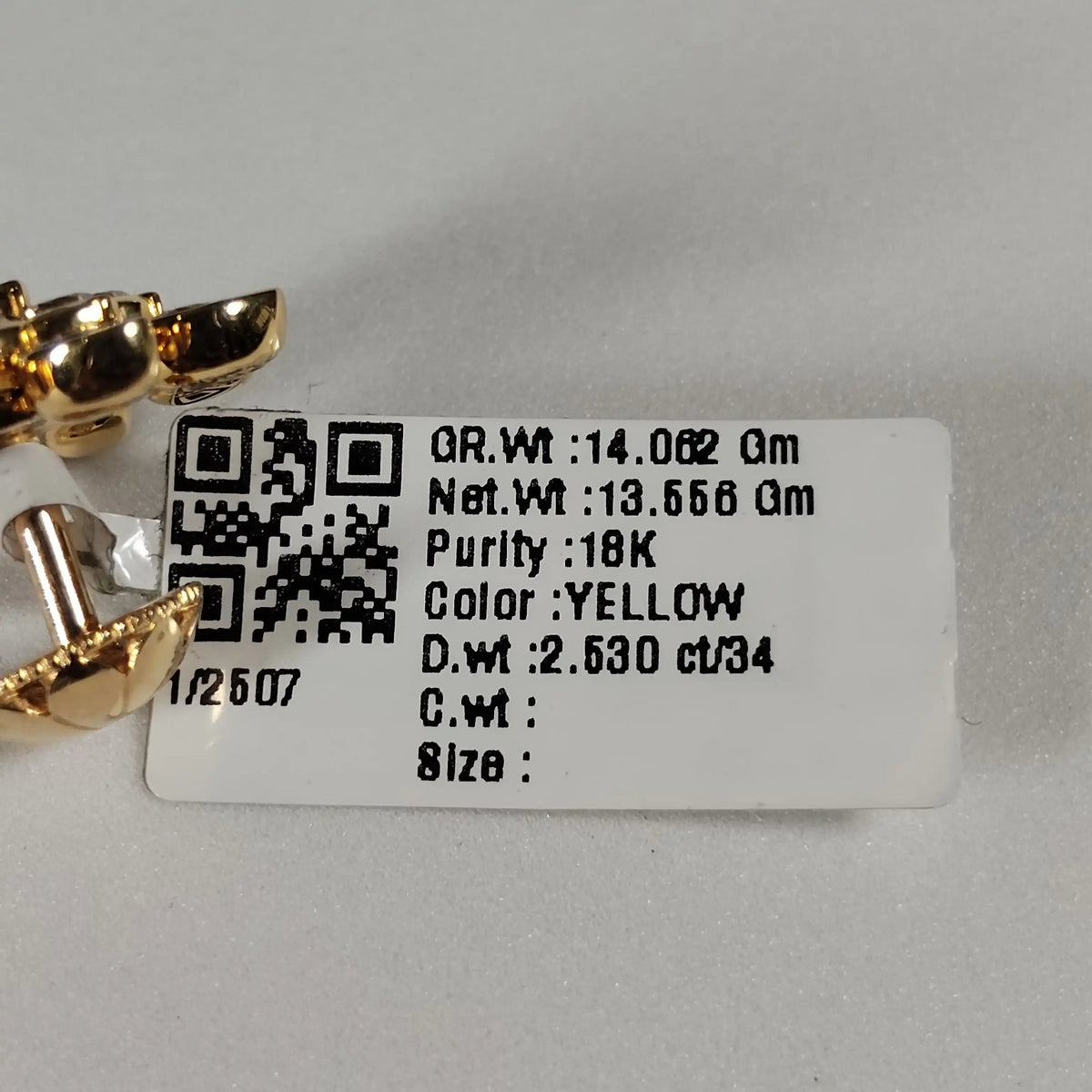 2507 Earring