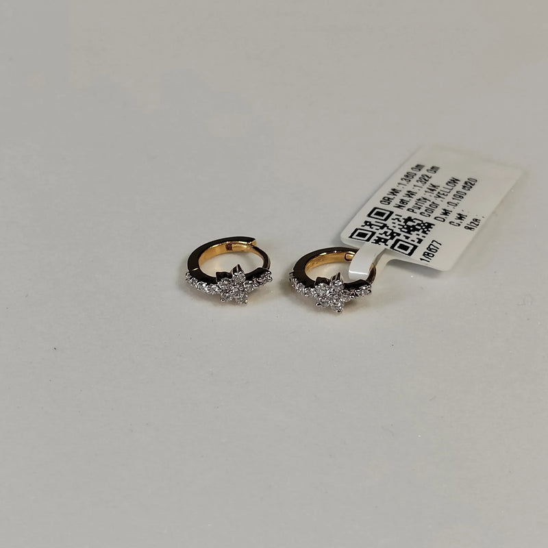 8677 Earring