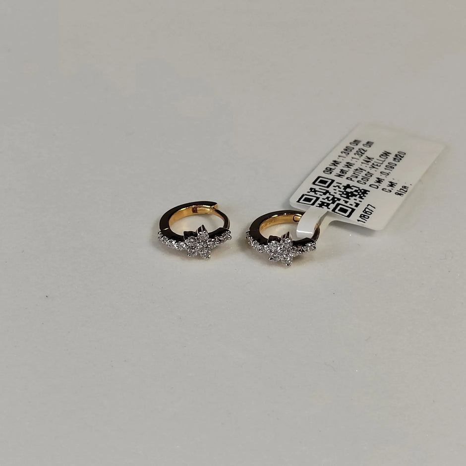 8677 Earring